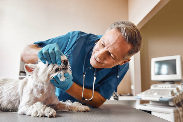 Best Emergency Tooth Extraction in Pulaski, VA