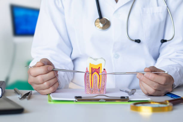 Best Emergency Dental Care for Broken or Chipped Teeth in Pulaski, VA